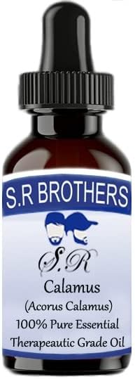 S. R Testvérek Kálmos (Acorus Kálmos) Pure & Natural Therapeautic Minőségű illóolaj Cseppentő 50ml