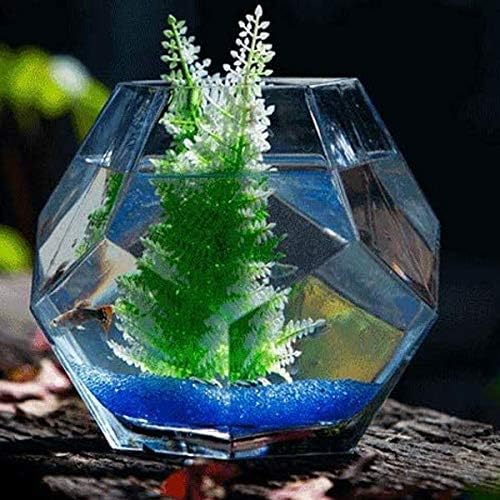 TWDYC Poliéder Személyre szabott akvárium Kreatív Asztali Üveg akvárium Trópusi akvárium Megvastagodása